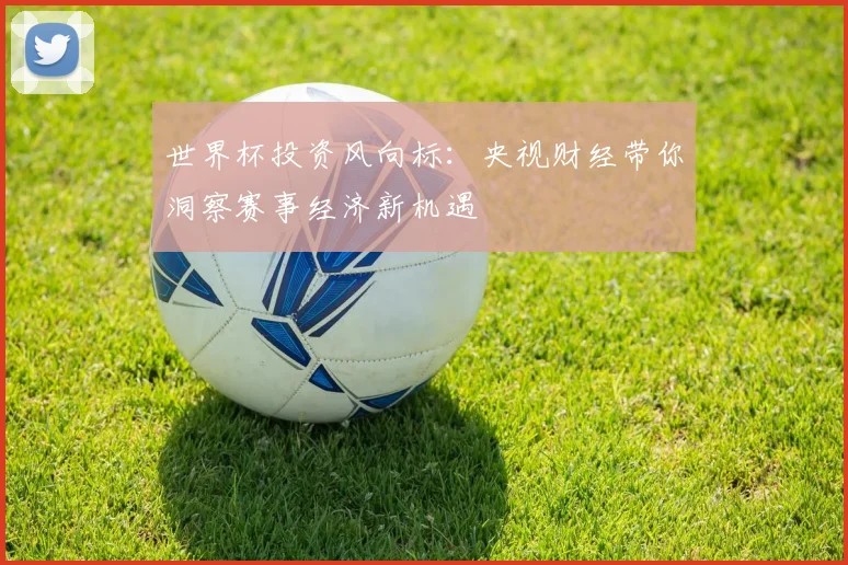 世界杯投资风向标：央视财经带你洞察赛事经济新机遇