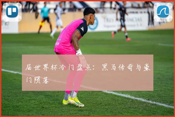 届世界杯冷门盘点：黑马传奇与豪门陨落