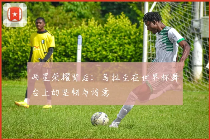 两星荣耀背后:乌拉圭在世界杯舞台上的坚韧与诗意