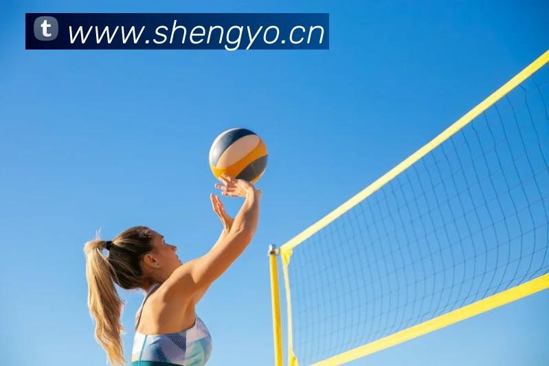 爱游戏ayx正版入口平台生态图